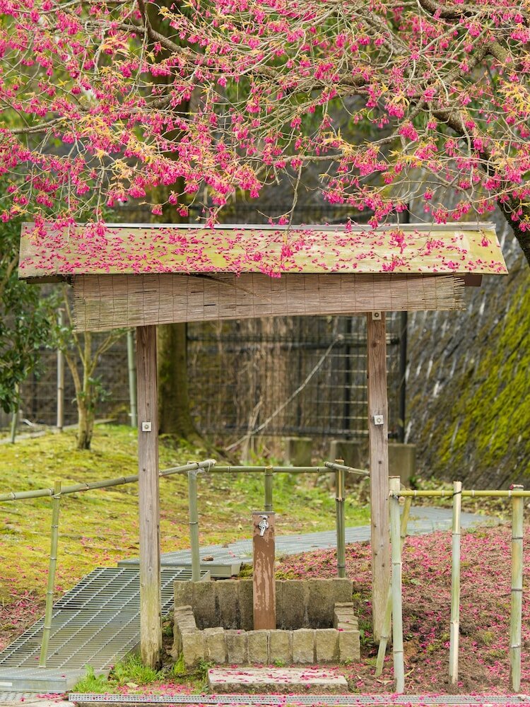 Фото Gokurakuji Onsen Arcadia Village
