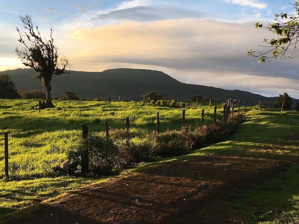 Фото Villa Calas