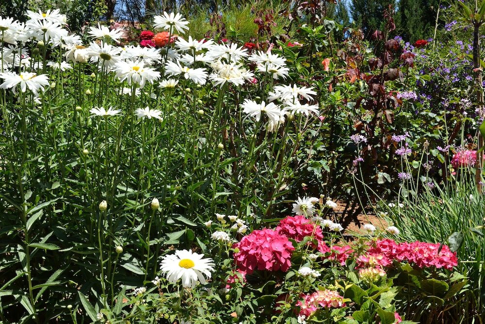 Фото Stamatakis Boutique Studios