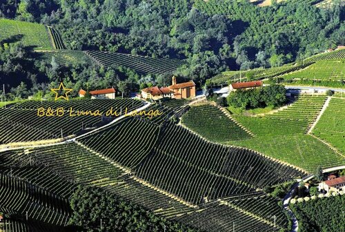 Гостиница B&b Luna Di Langa