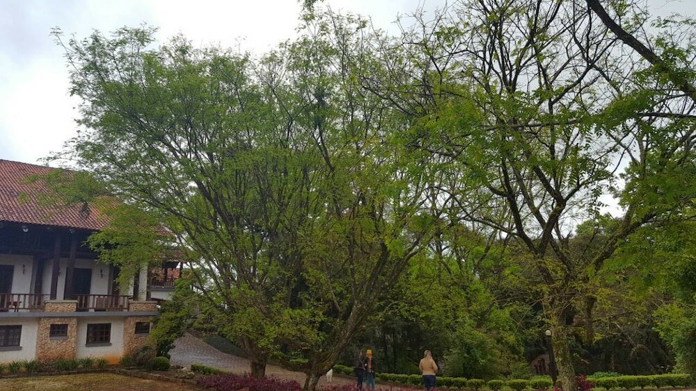 Фото Pousada Vale das Hortências