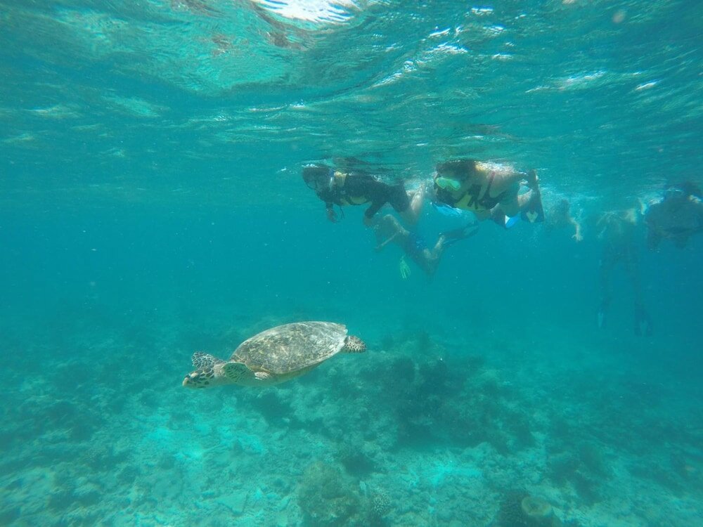 Фото Luau Beach Inn