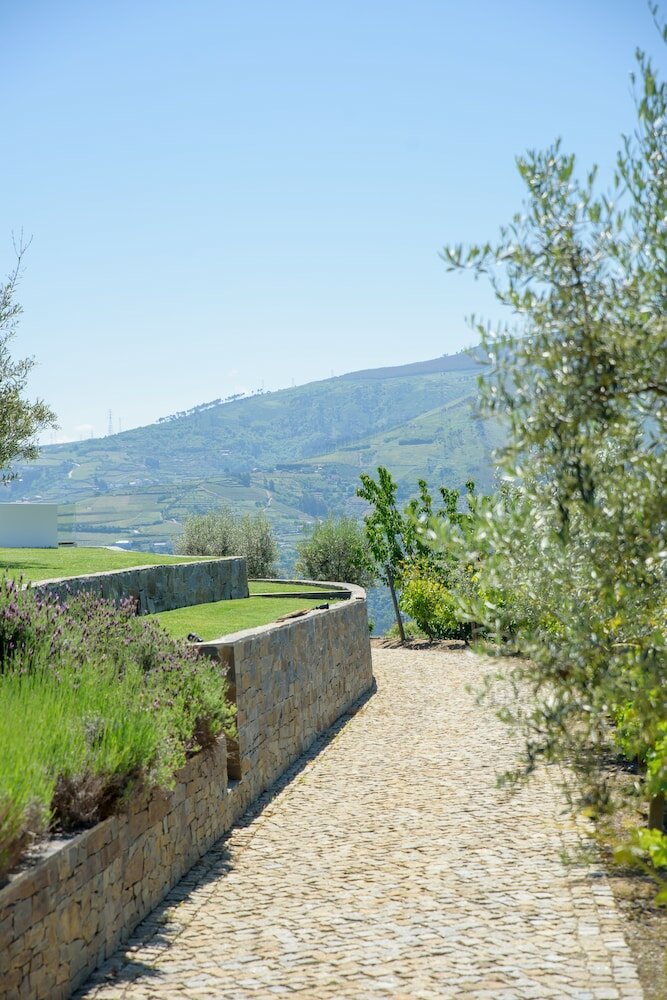 Фото Quinta do Bosque