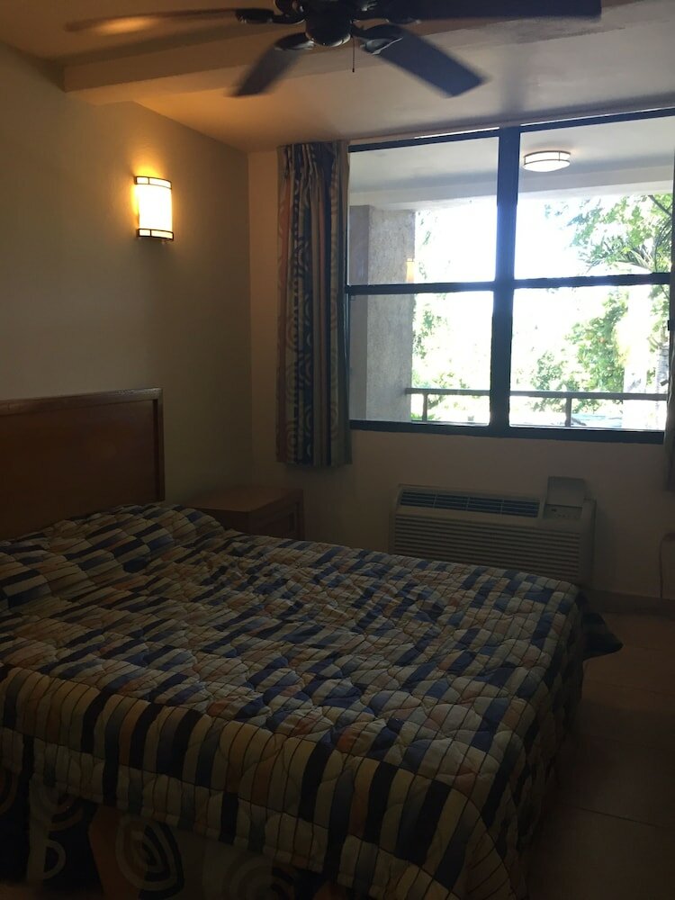 Фото Palm Residence