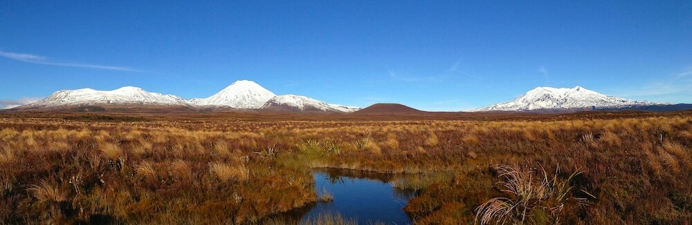 Фото River Birches