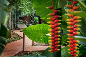 Гостиница La Reserva Virgin Lodge