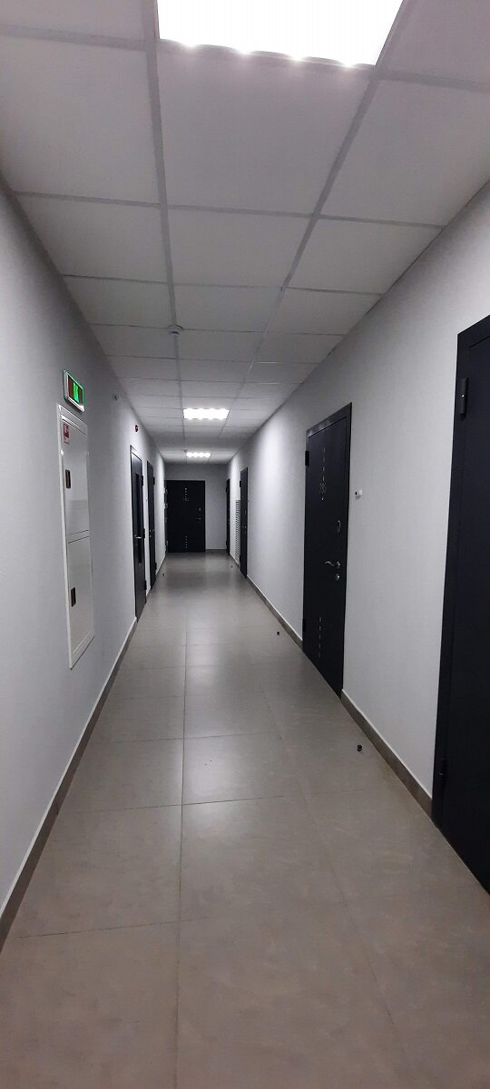 Фото Pulse на Неве