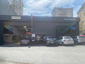 Erya Cupra Authorized Service (İstanbul, Kadikoy, İmam Ramiz Sok., 23), car service, auto repair