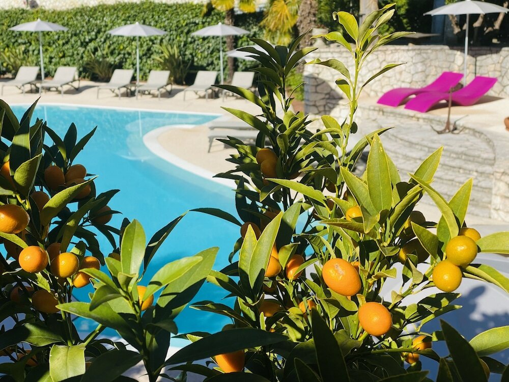 Фото Hotel Villa Miravalle