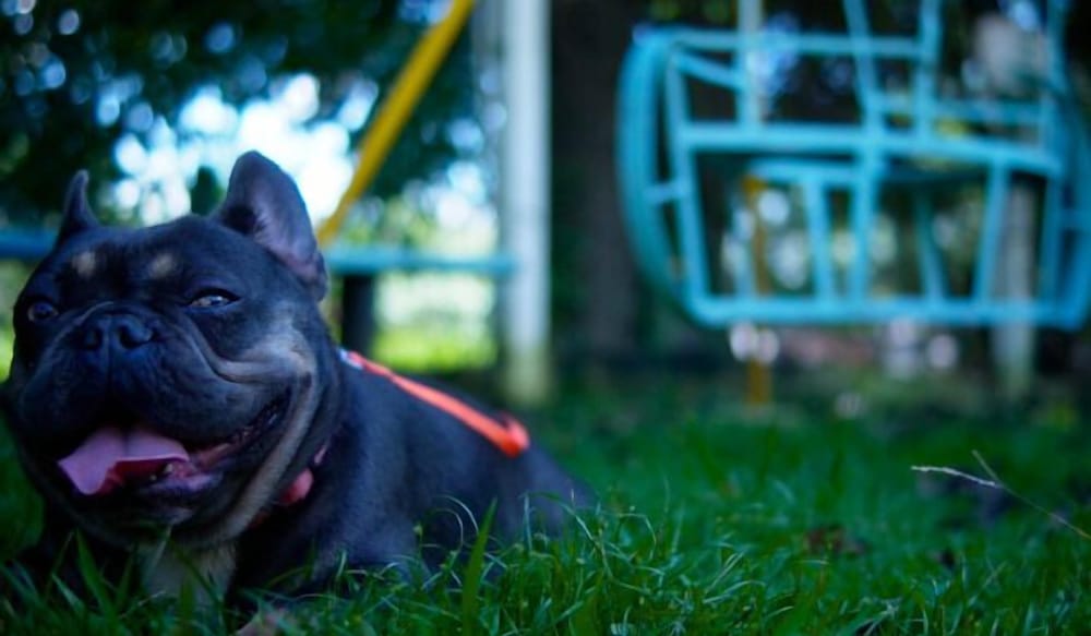 Фото Pousada Jovimar