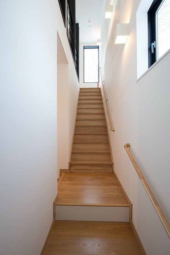 Фото Snow Monkey