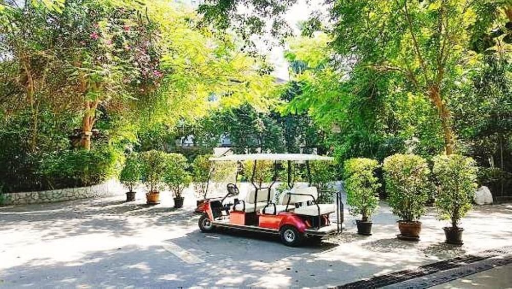 Фото Birds and Bees Resort