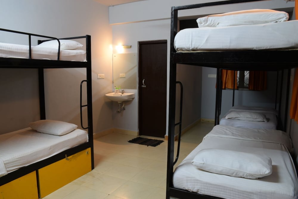 Фото Backpacker Panda Goa