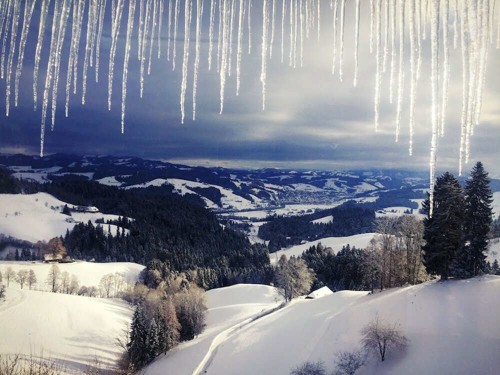 Фото Boutique Hotel Moosegg