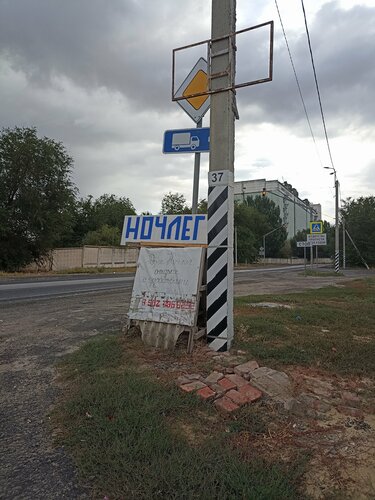 В гостях у Оли — фото 3