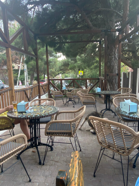 Фото Анамеро