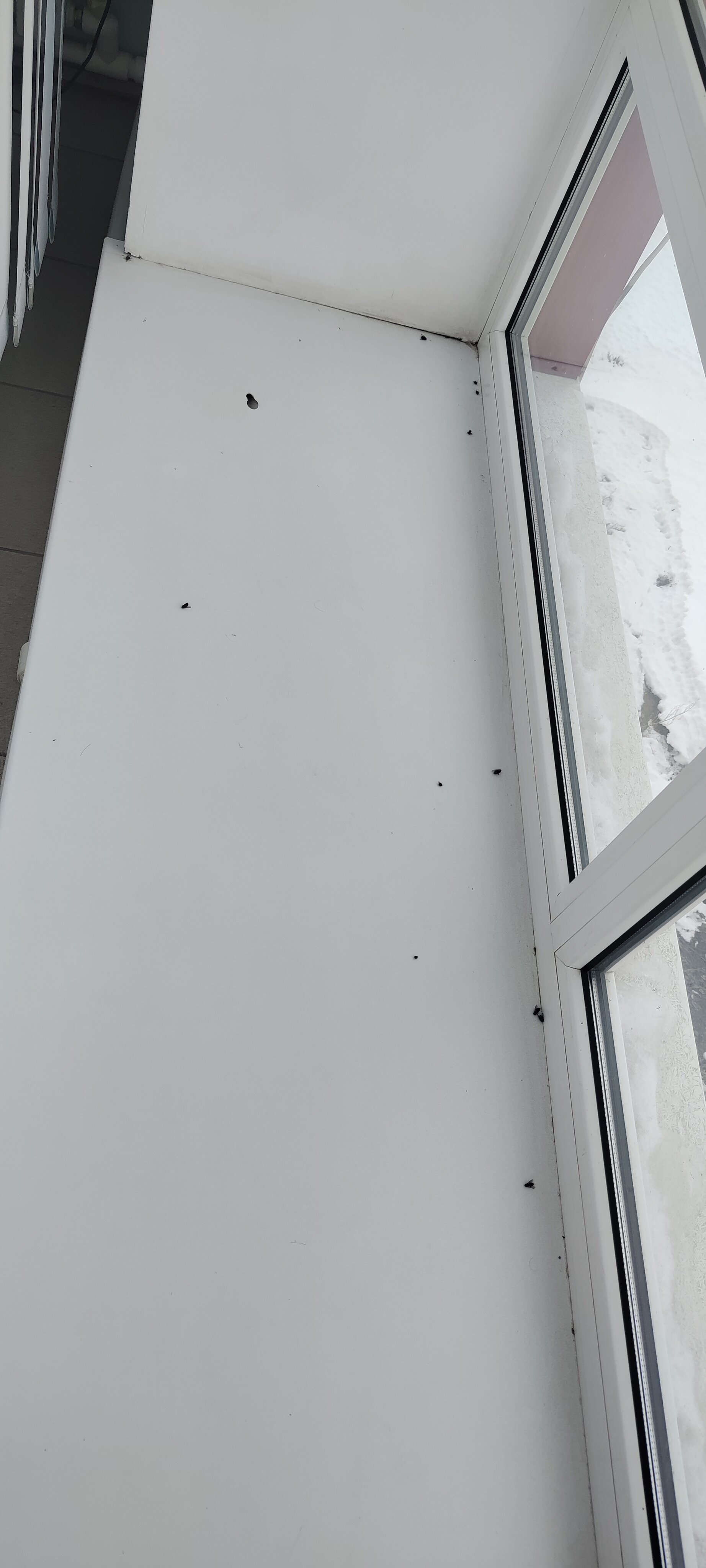 Фото Гостиный двор