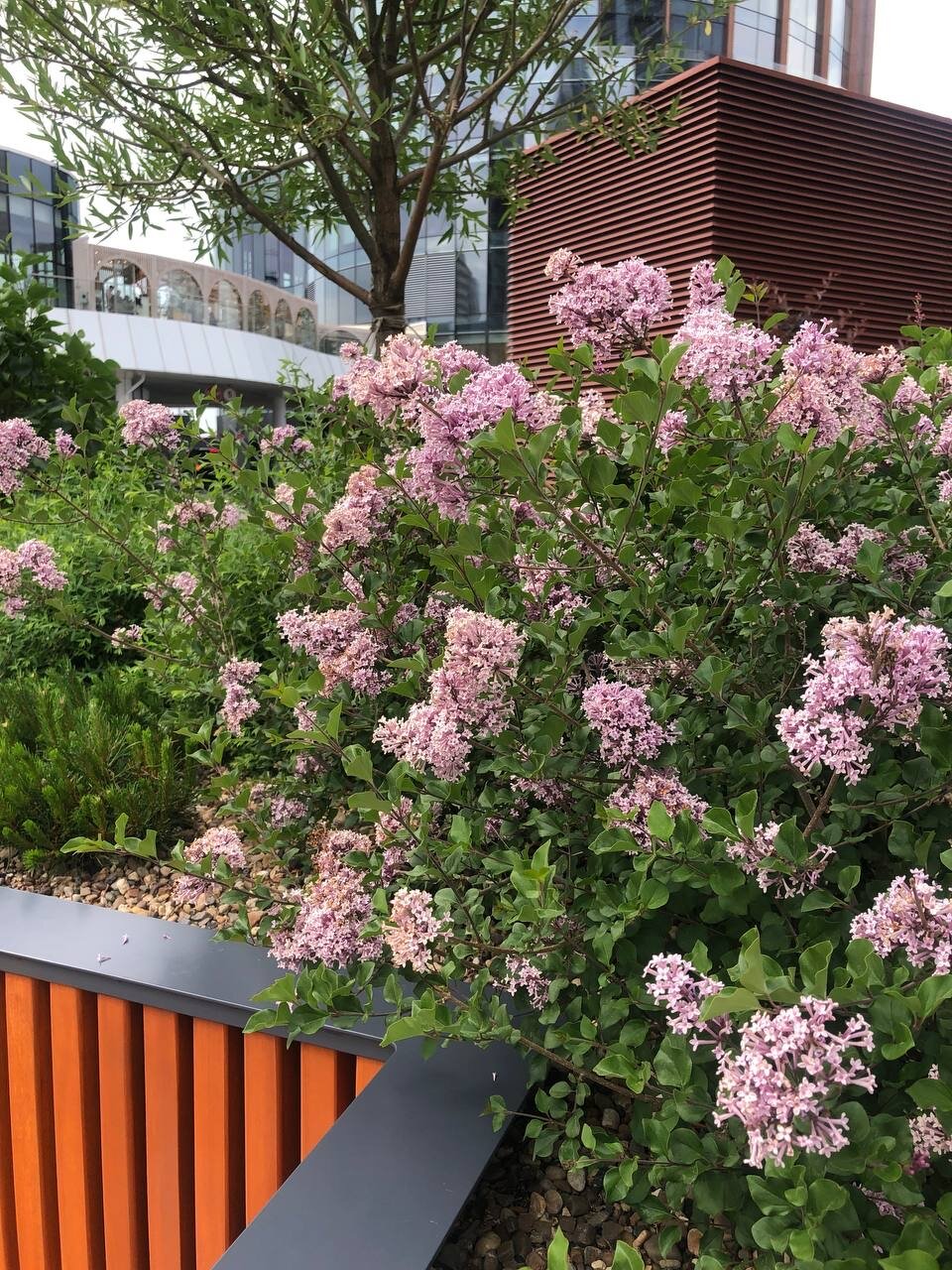 Фото Хаятт Ридженси Екатеринбург