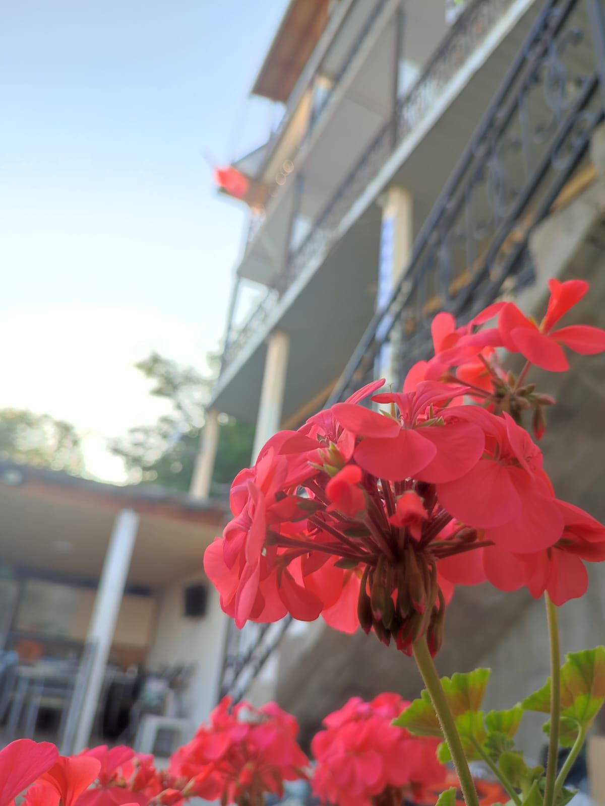 Фото Ривьера Пицунда