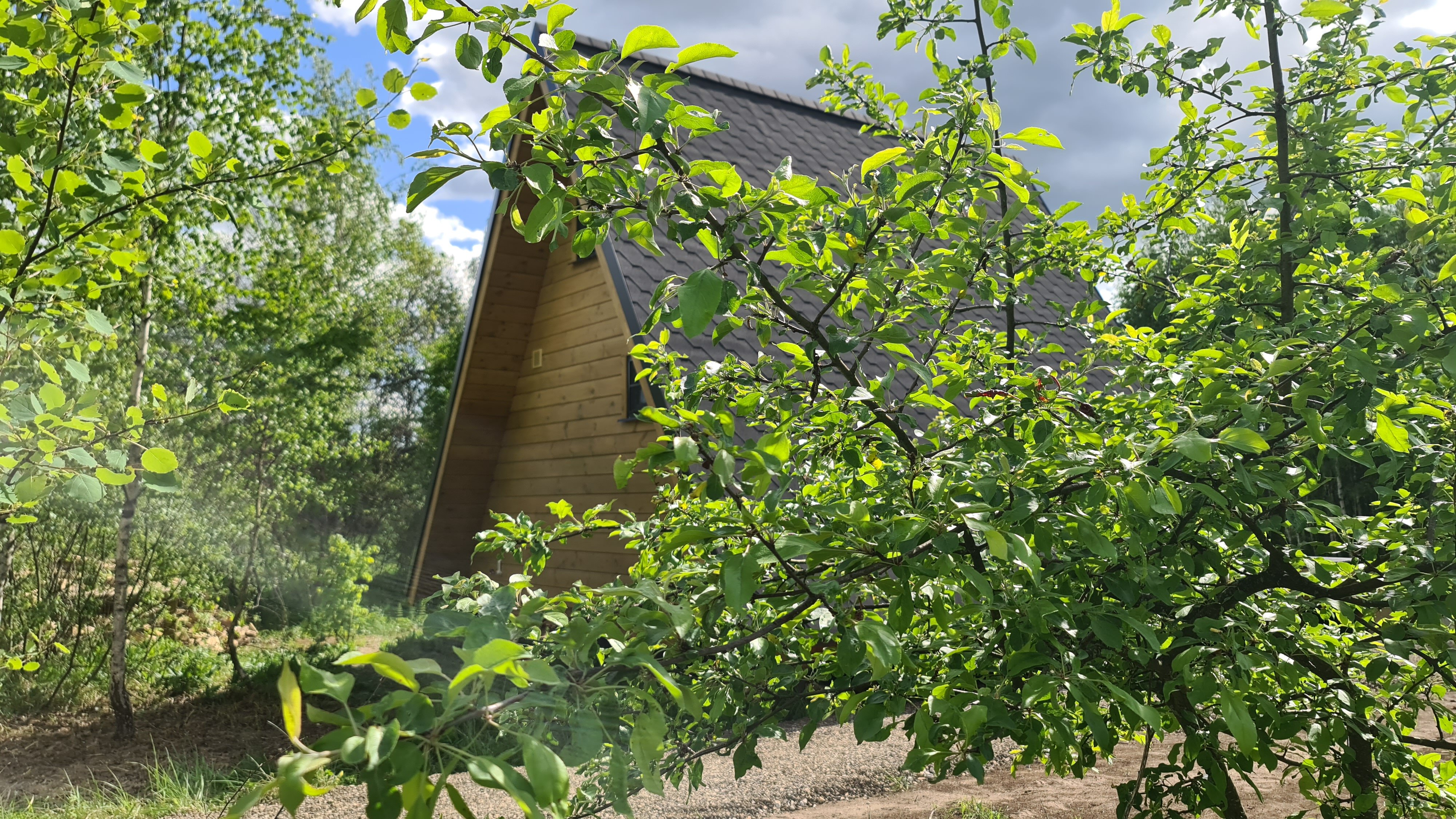 Фото Iliynka Village