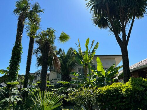 Гостиница Форелька в Гагре