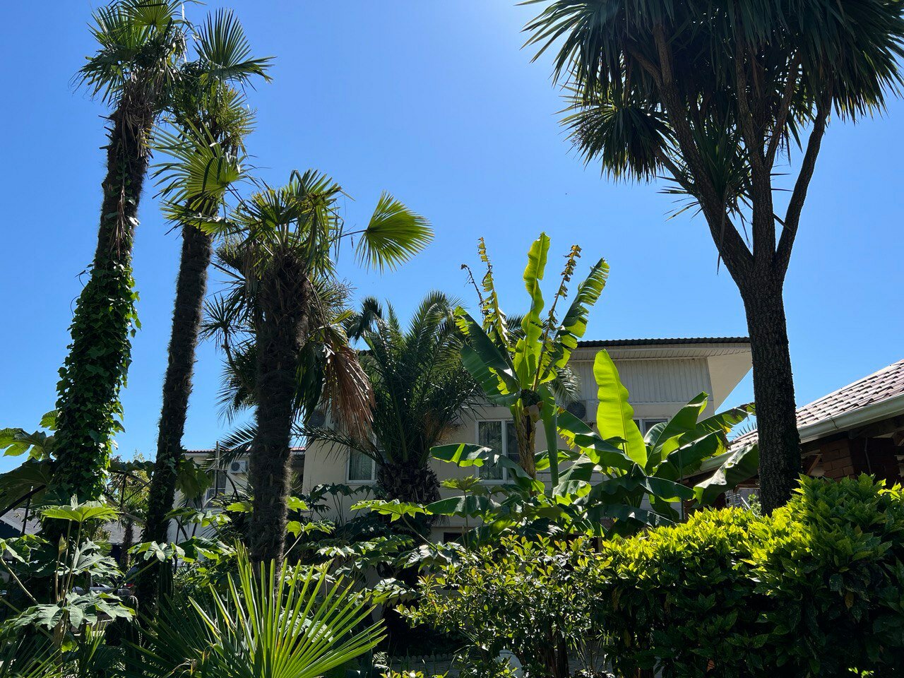 Фото Форелька