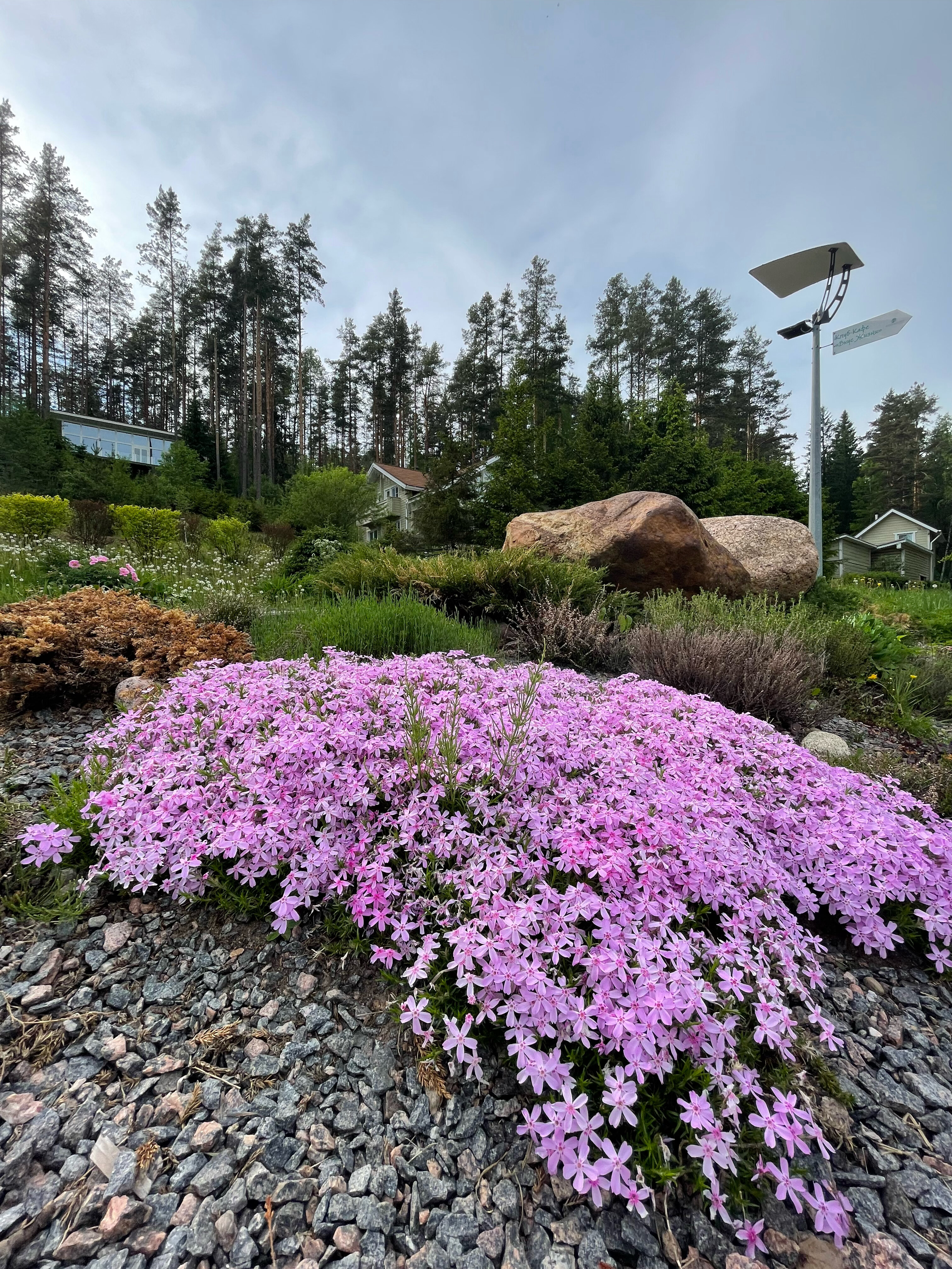 Фото Русская Красавица