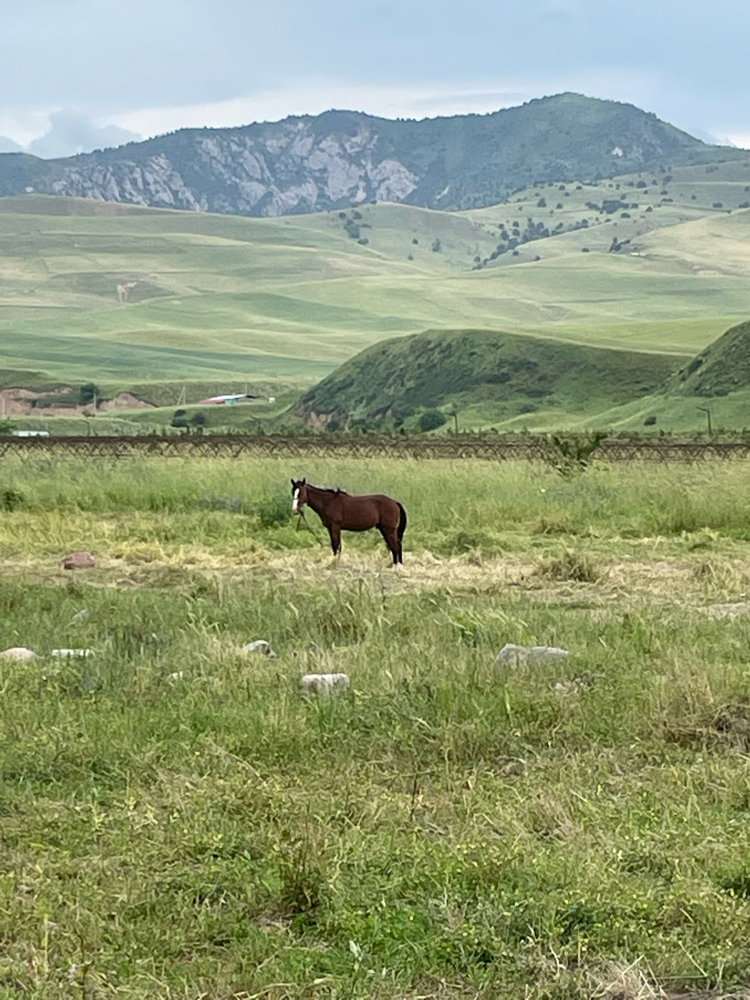 Фото Rano Eco Village