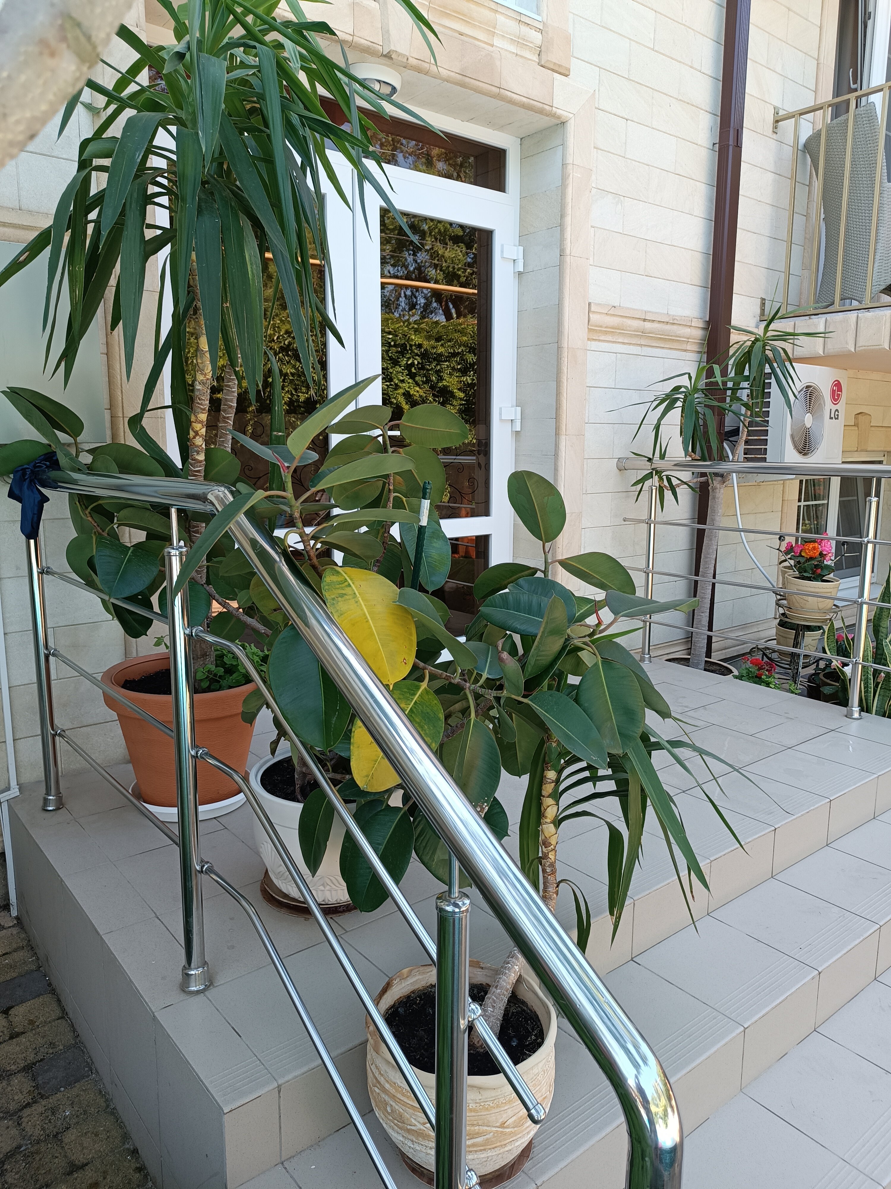 Фото Премьер