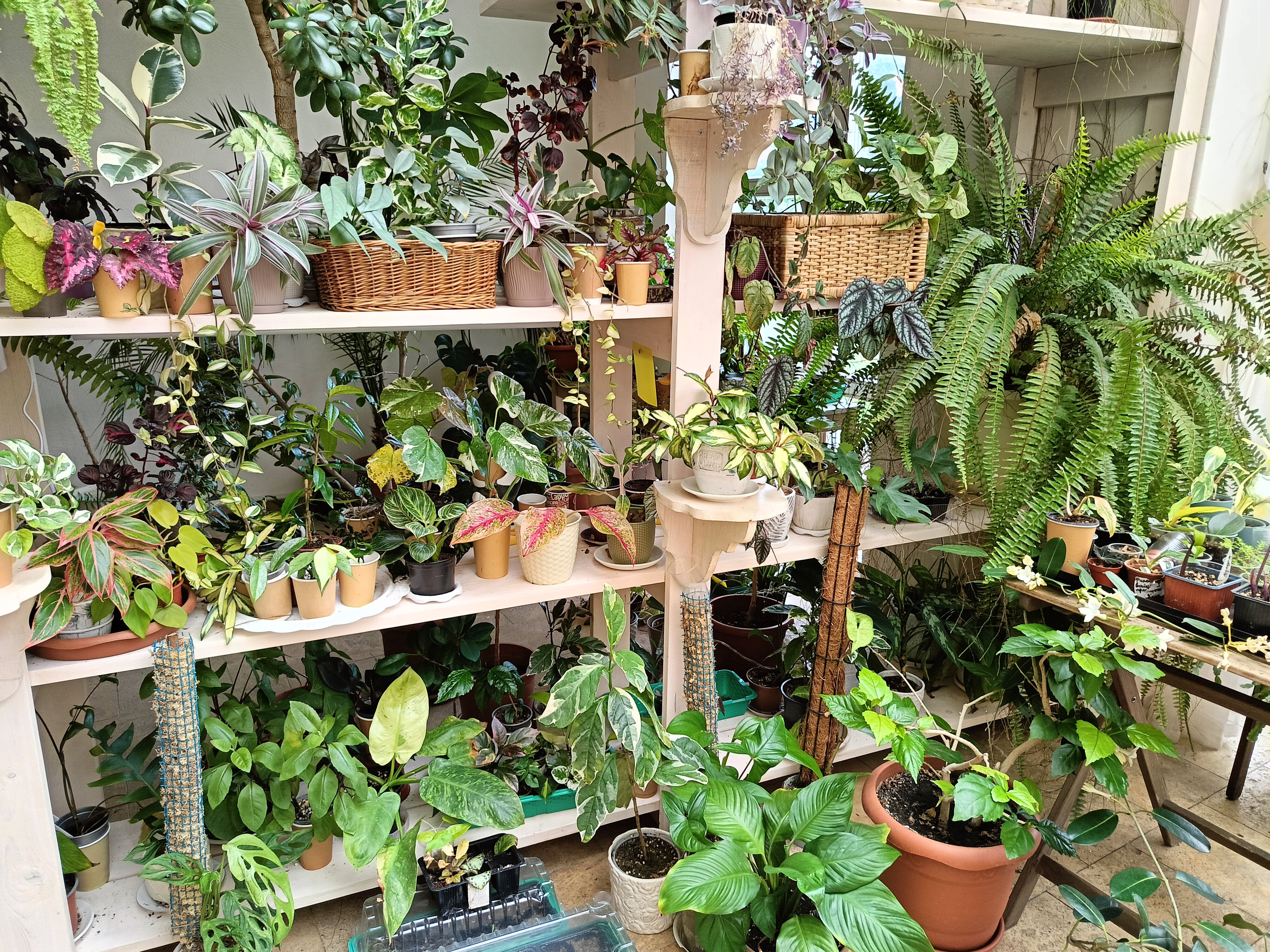 Фото Александрия