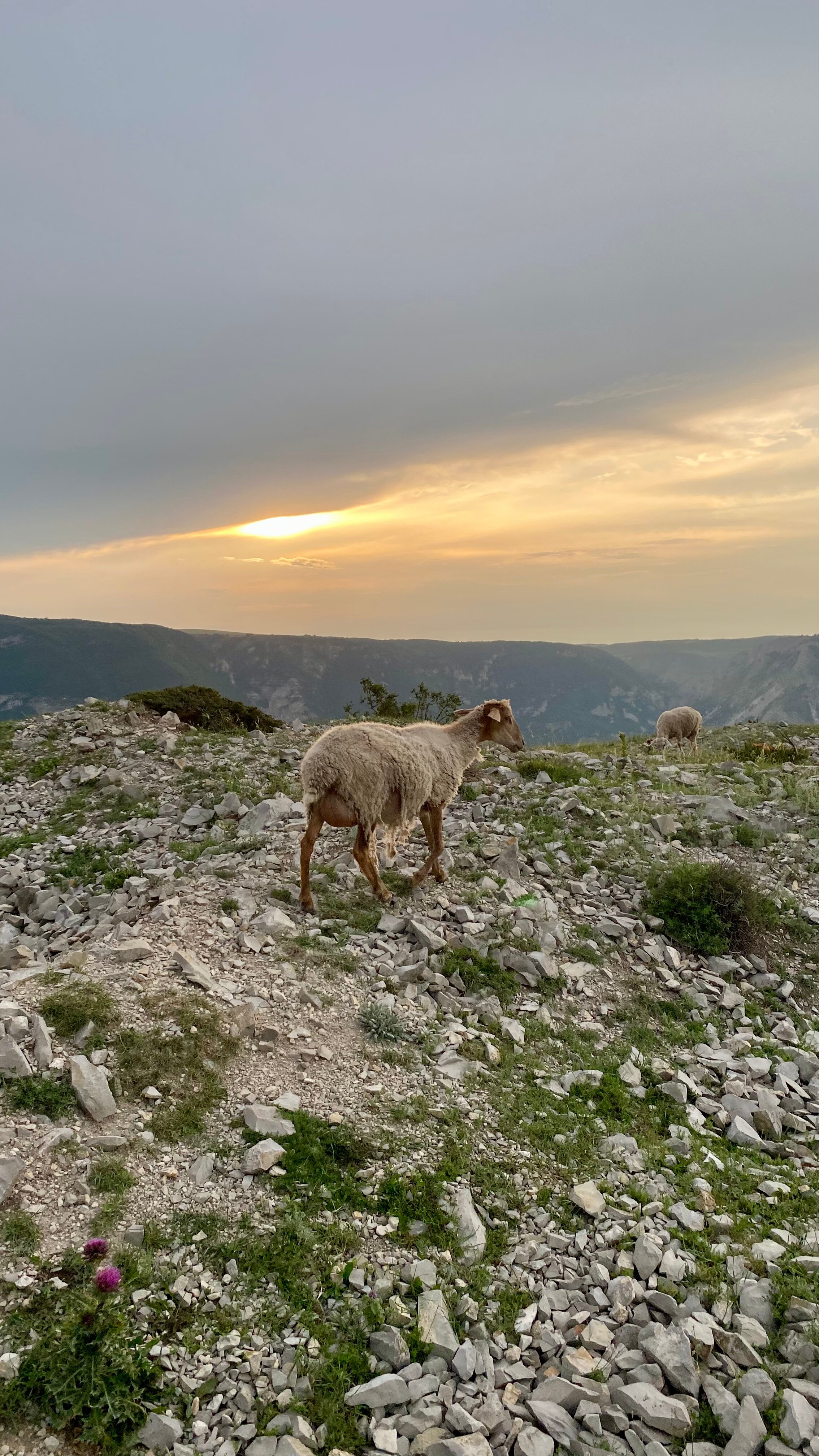 Фото Жилое Помещение Дубки - Сулакский Каньон