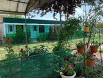 Ночлег Оленье у Александра (selo Olenye, Zarechnaya ulitsa, 11), guest house