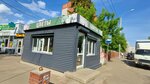 Цветы (Bummashevskaya Street, 92А), flower shop