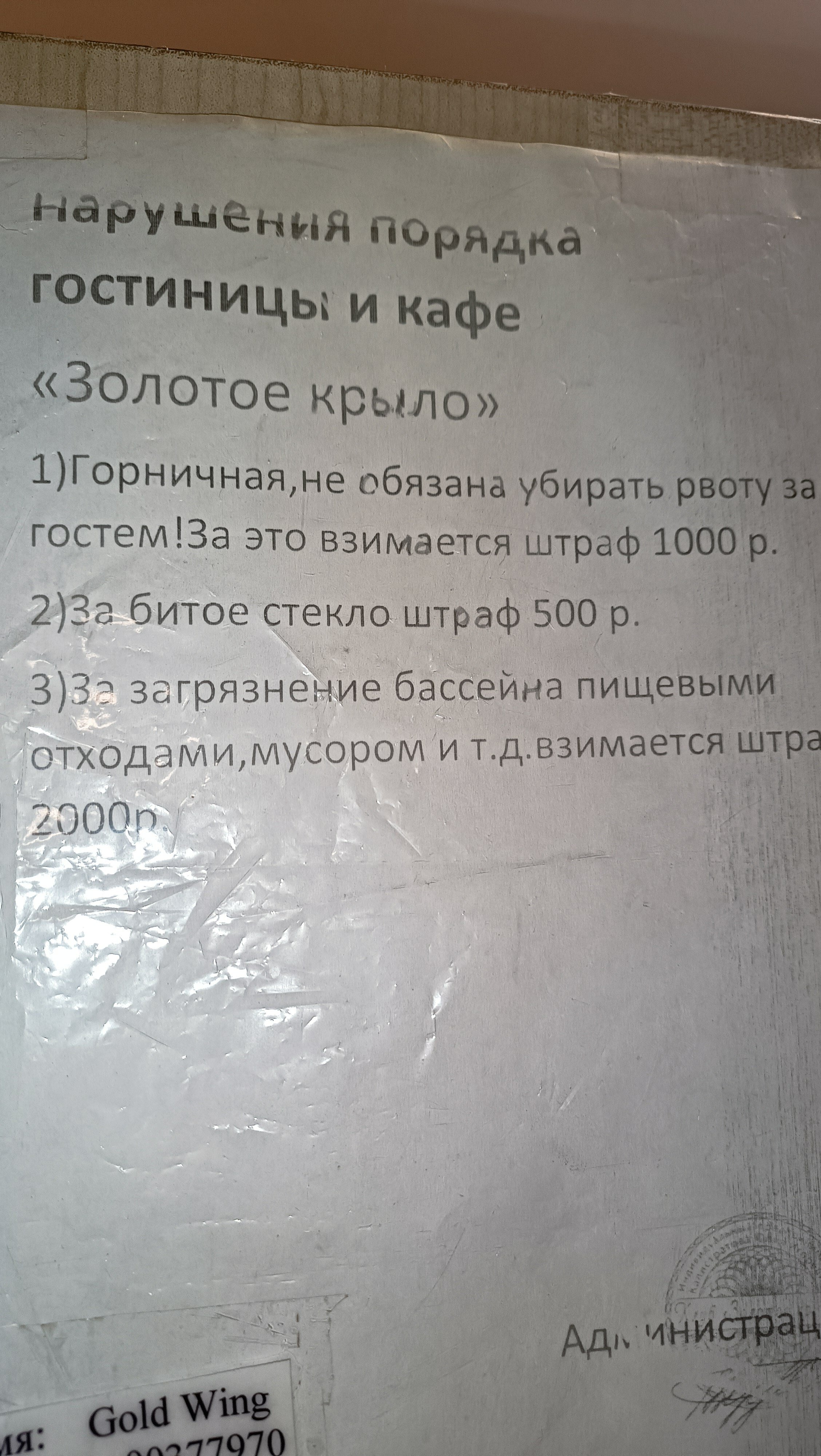 Фото Золотое крыло