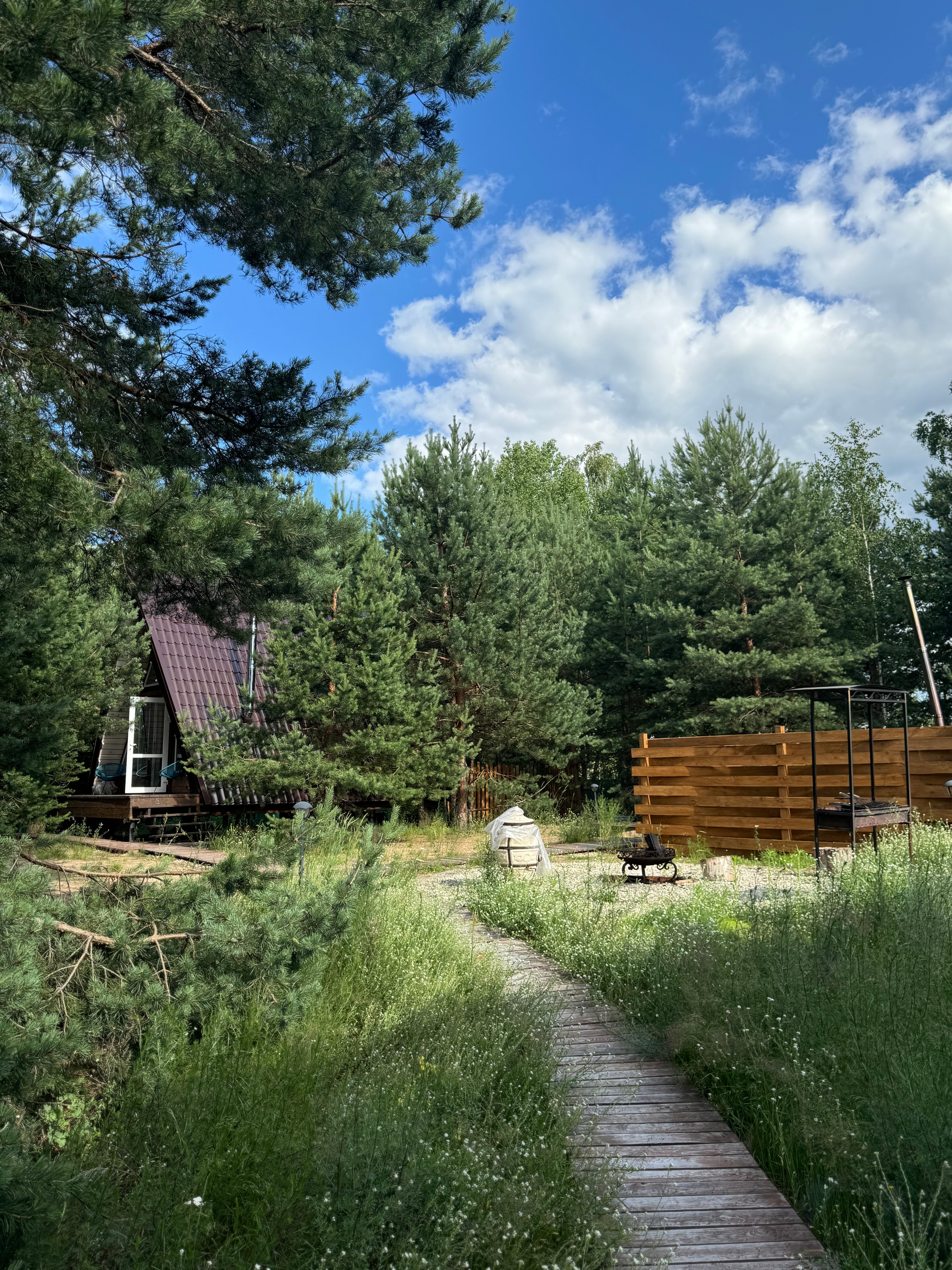 Фото Мишкино