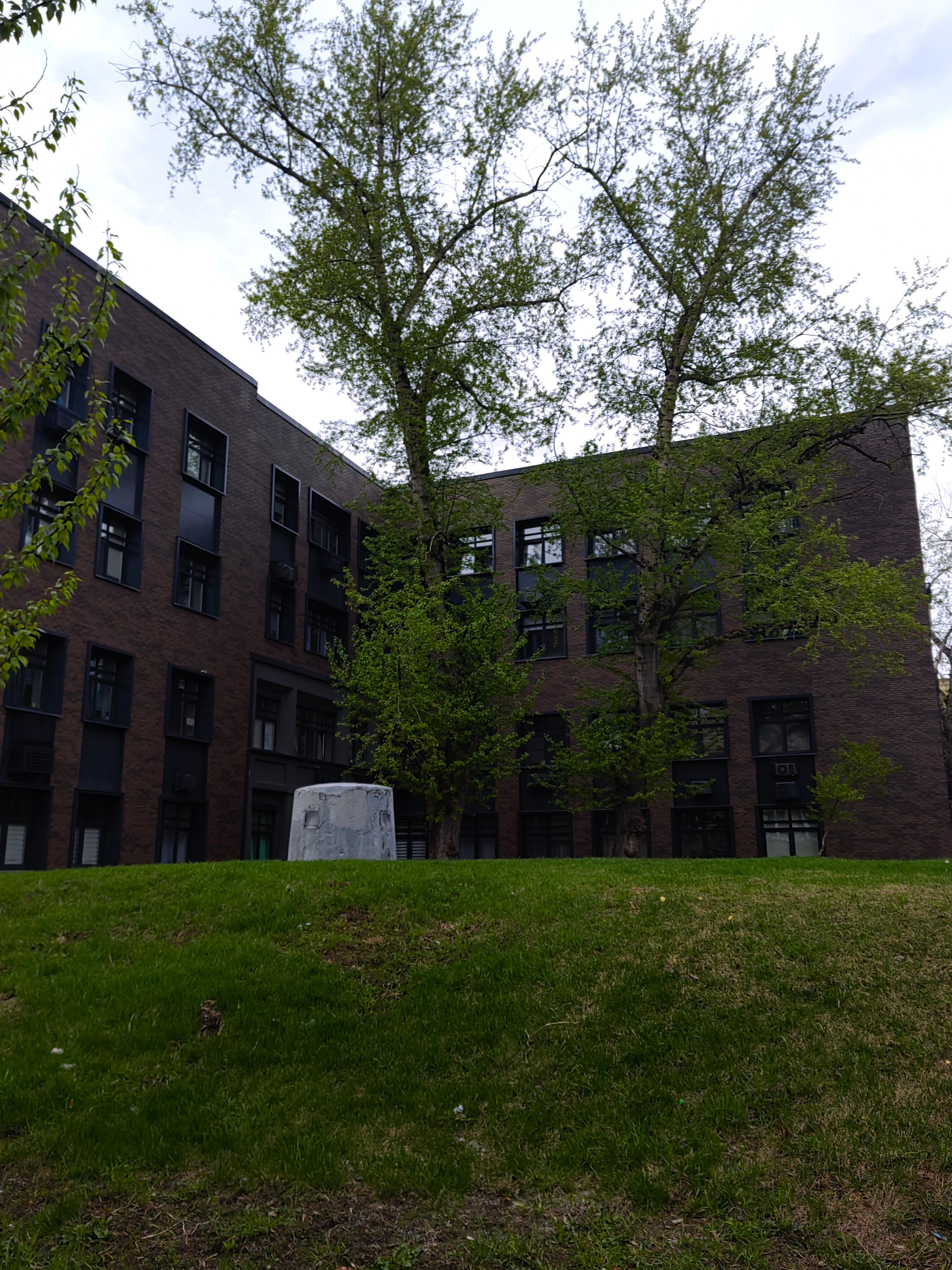 Фото Raido. Moscow Forest