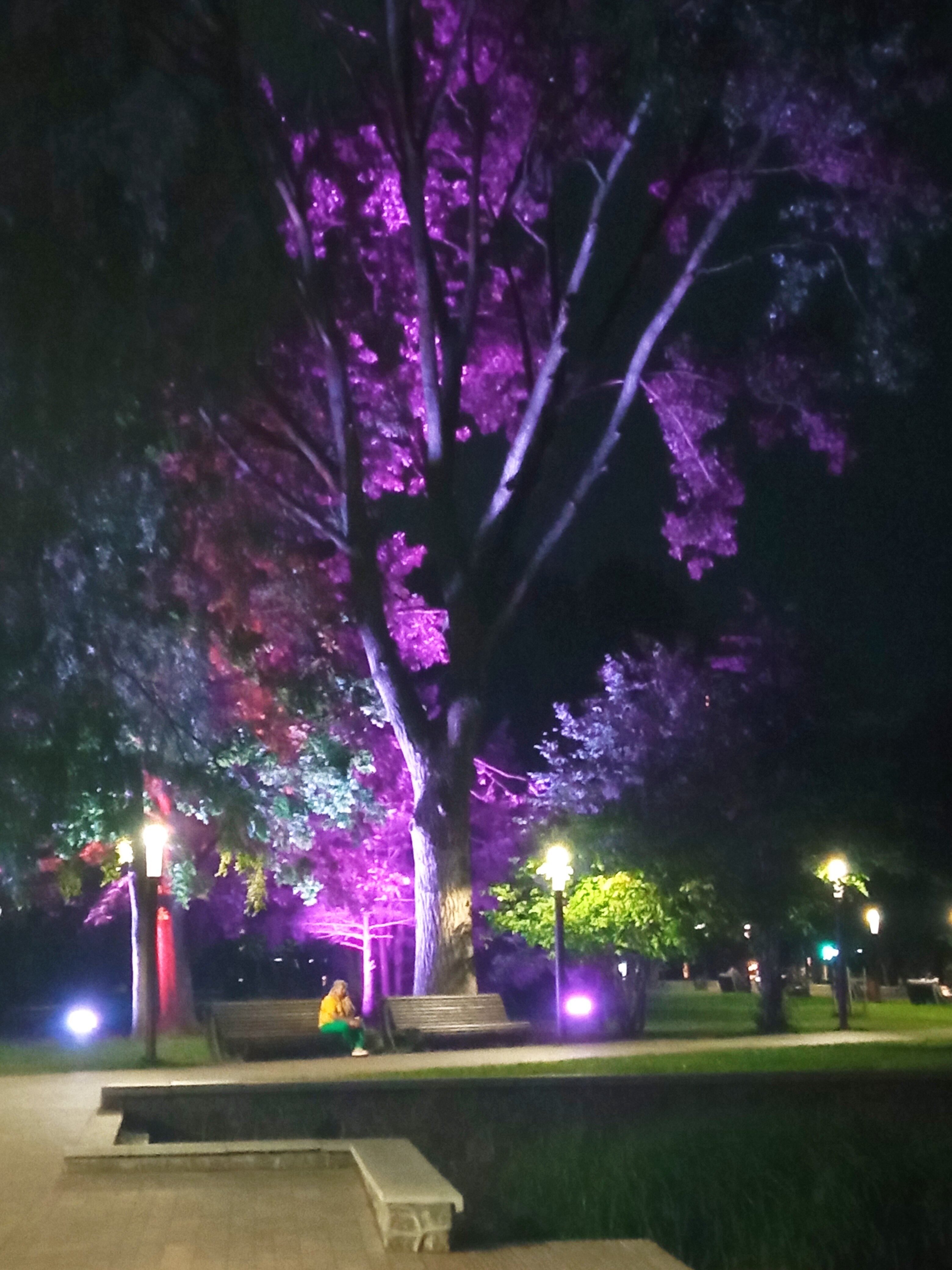 Фото KenigDeluxe Рыбная Деревня