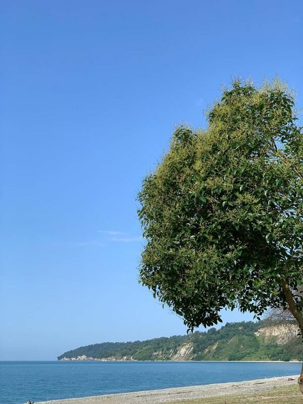 Фото Black River