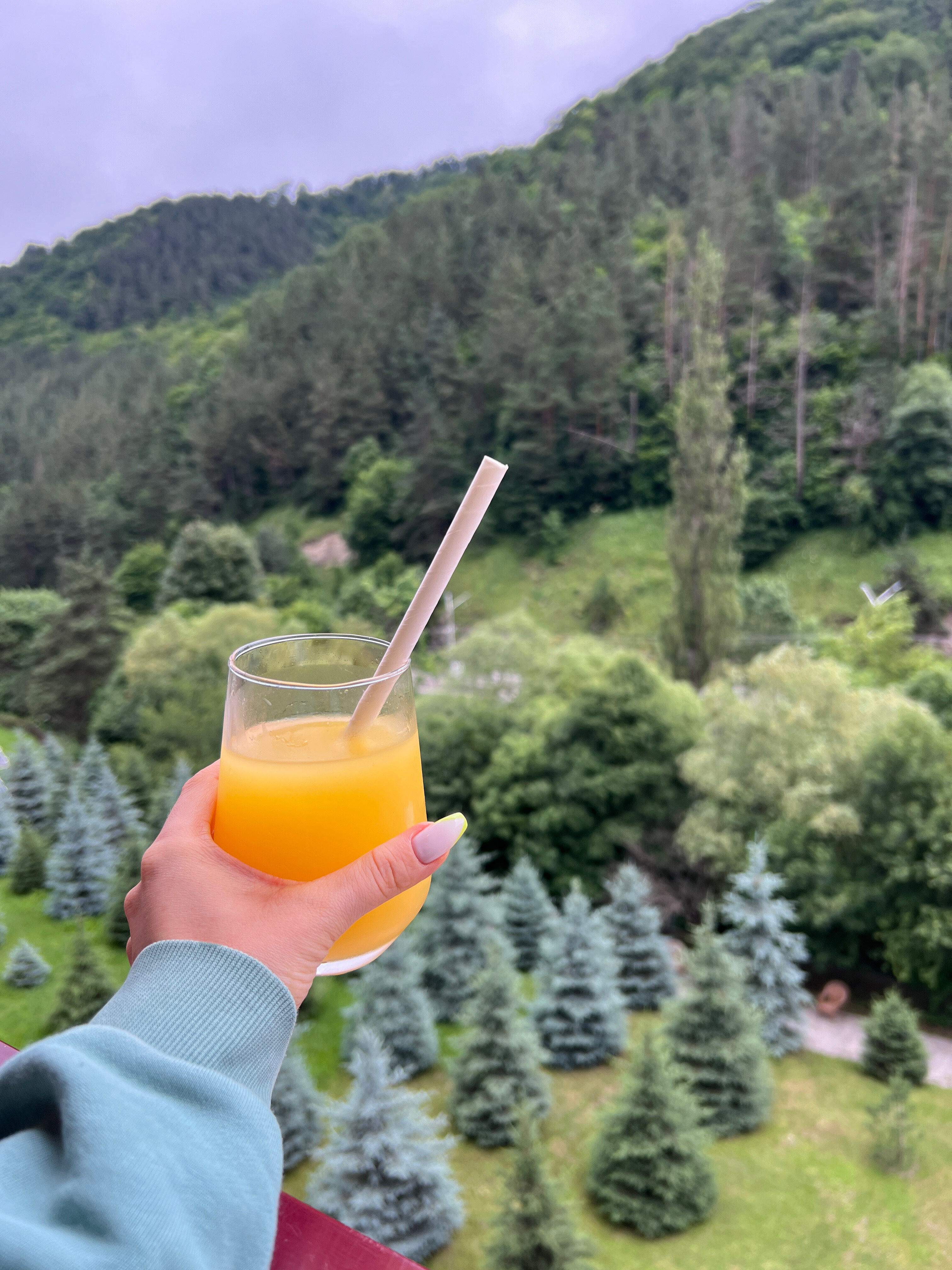 Фото Best Western Plus Paradise Hotel Dilijan