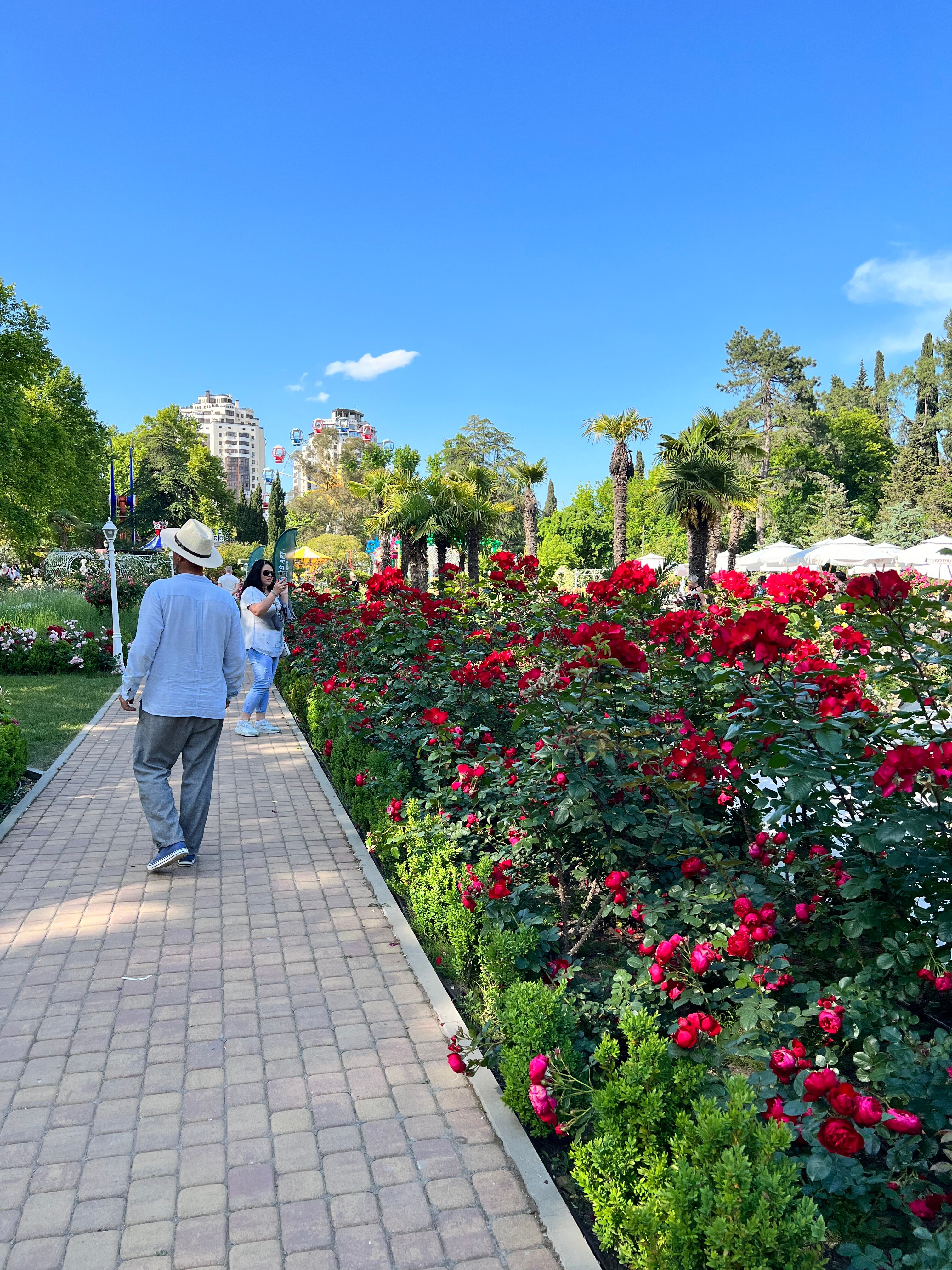 Фото Ривьера Парк Отель