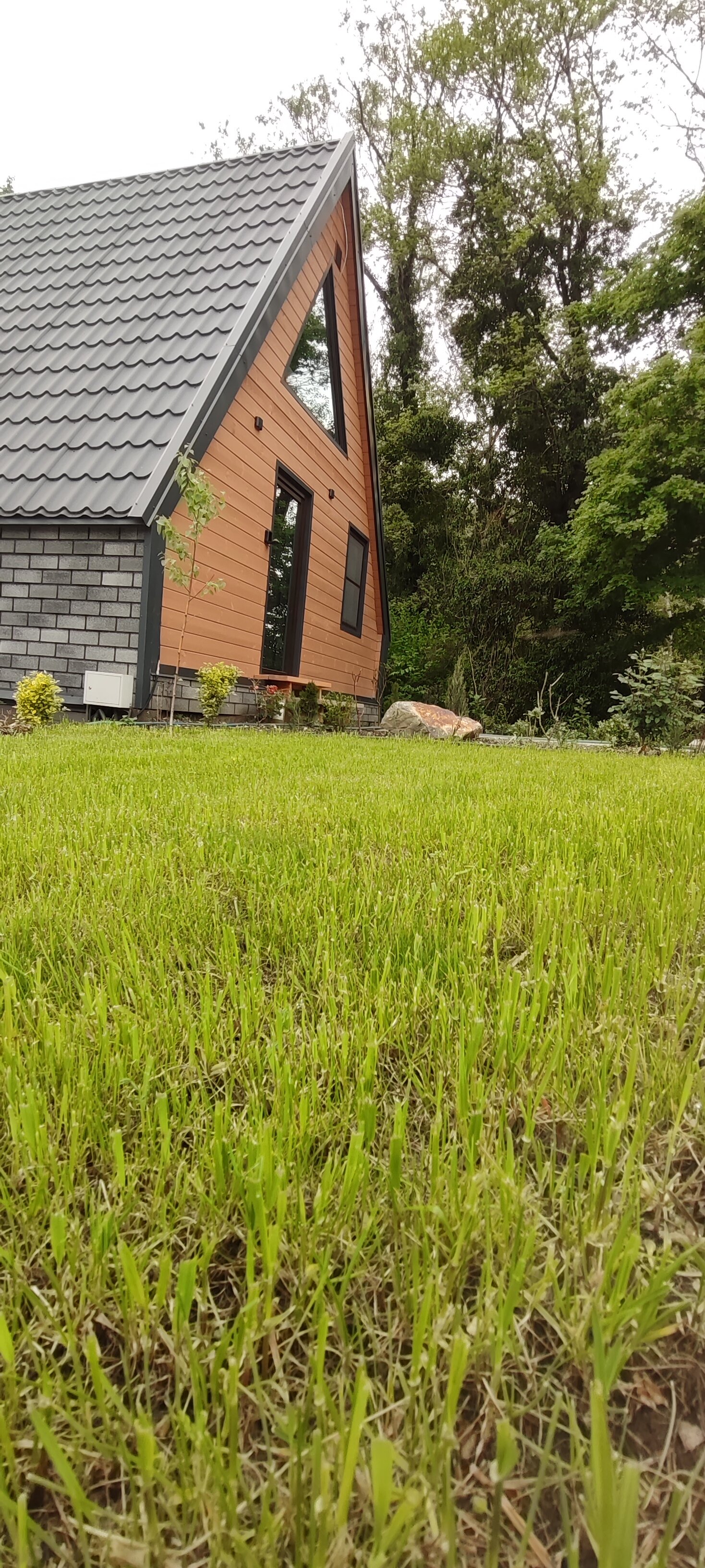 Фото Лимон&Мята