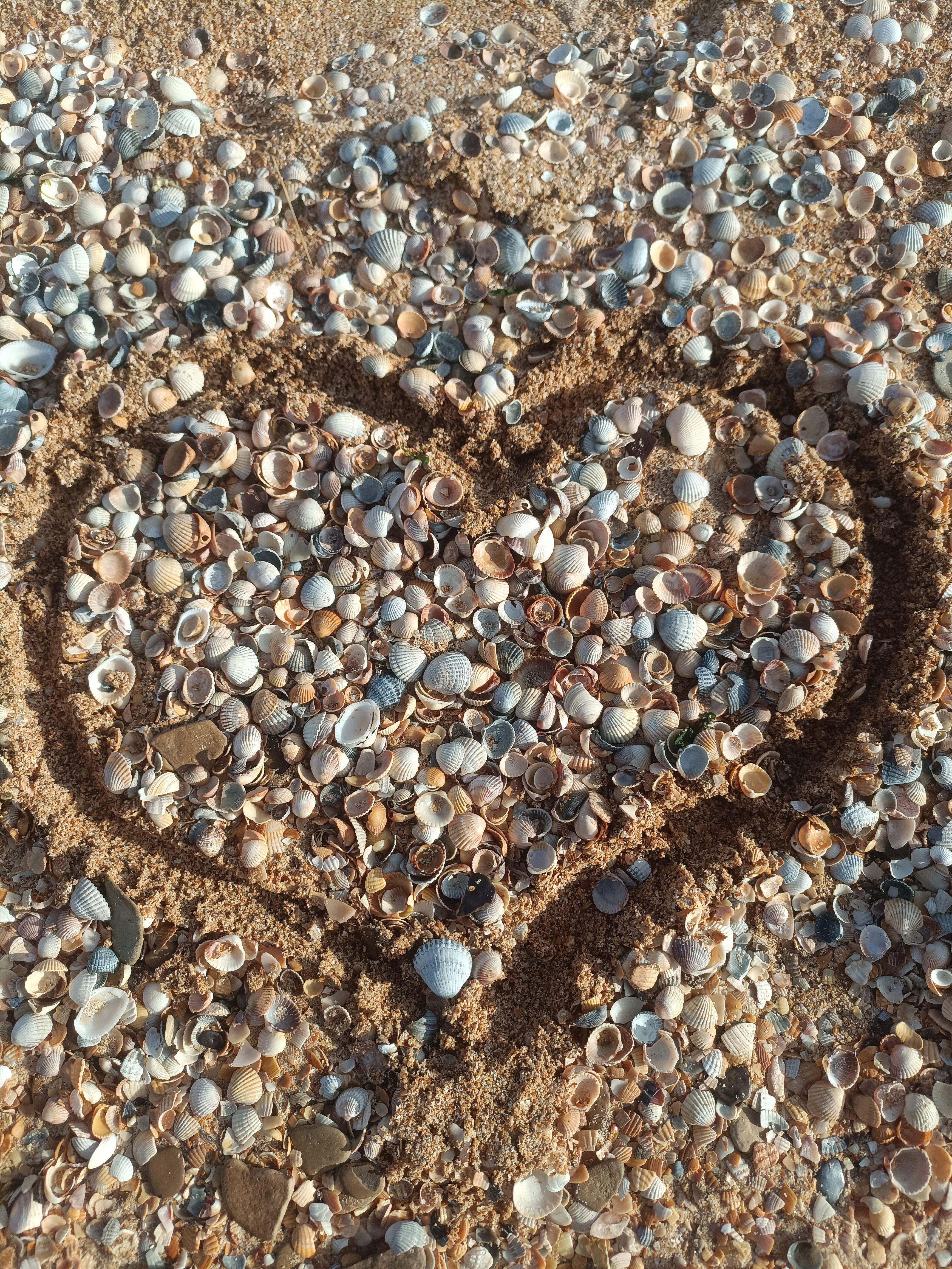 Фото Бумеранг