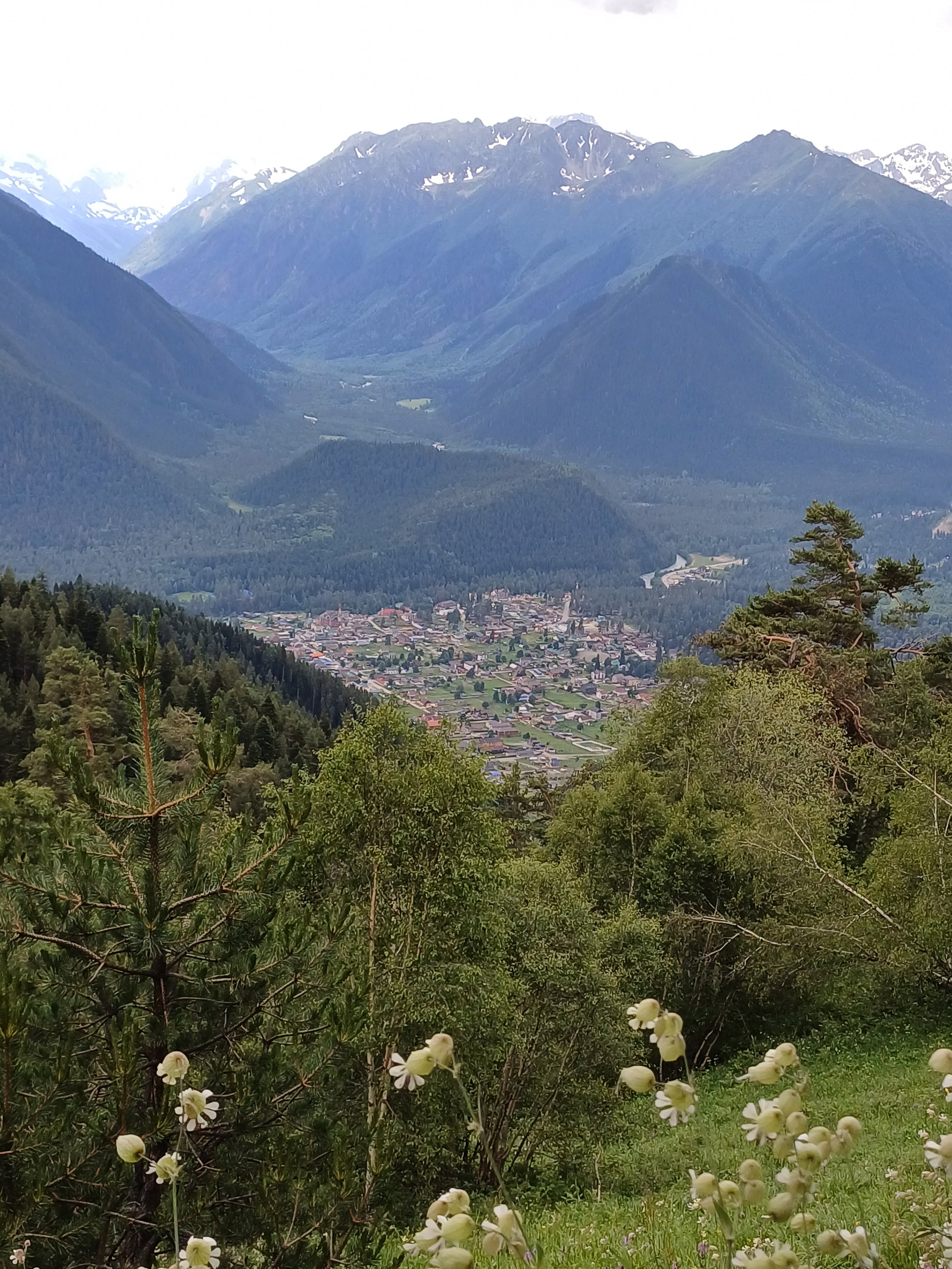 Фото Шале Белая Сова