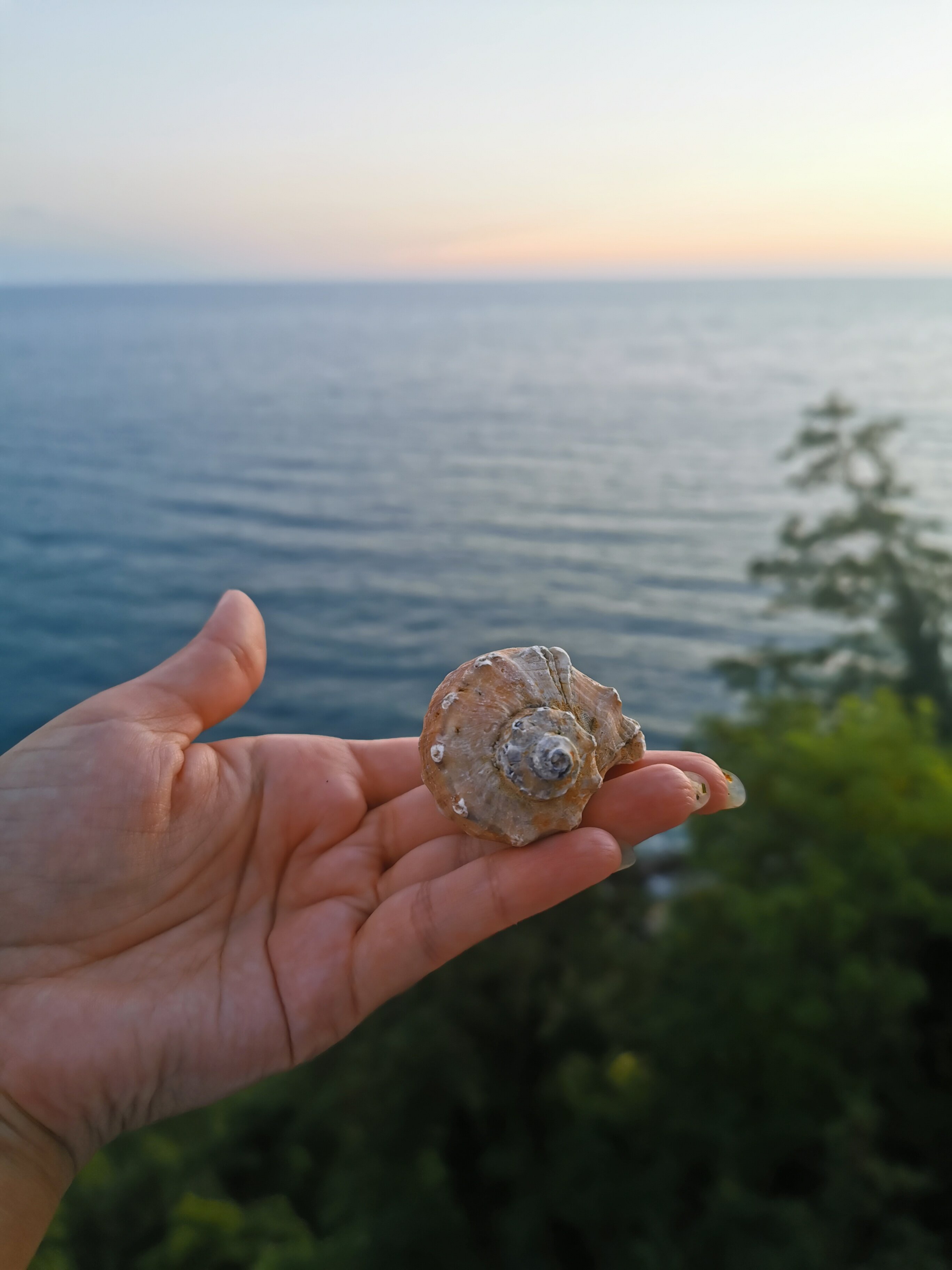 Фото Вилла Плаза