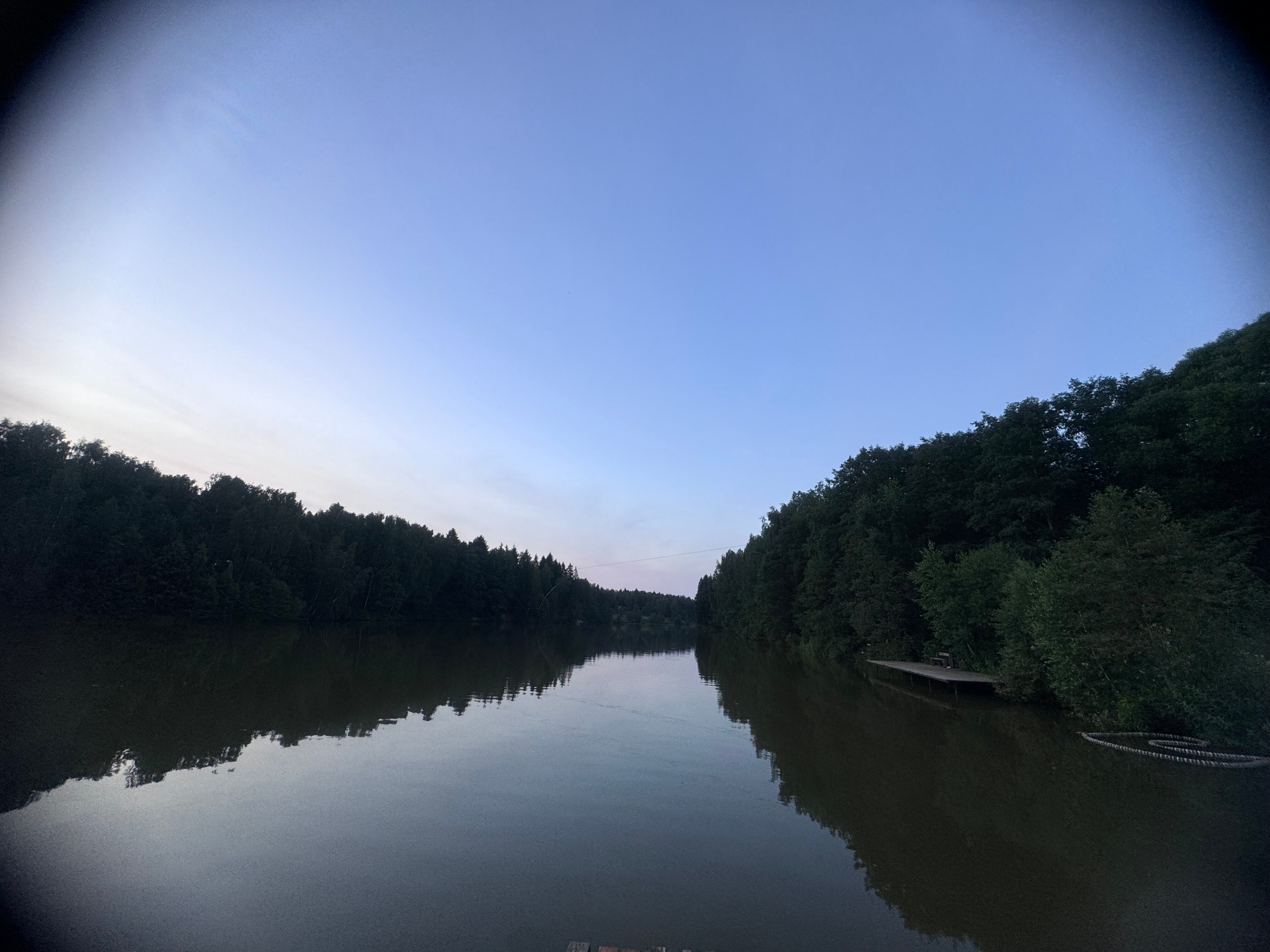 Фото Иволга