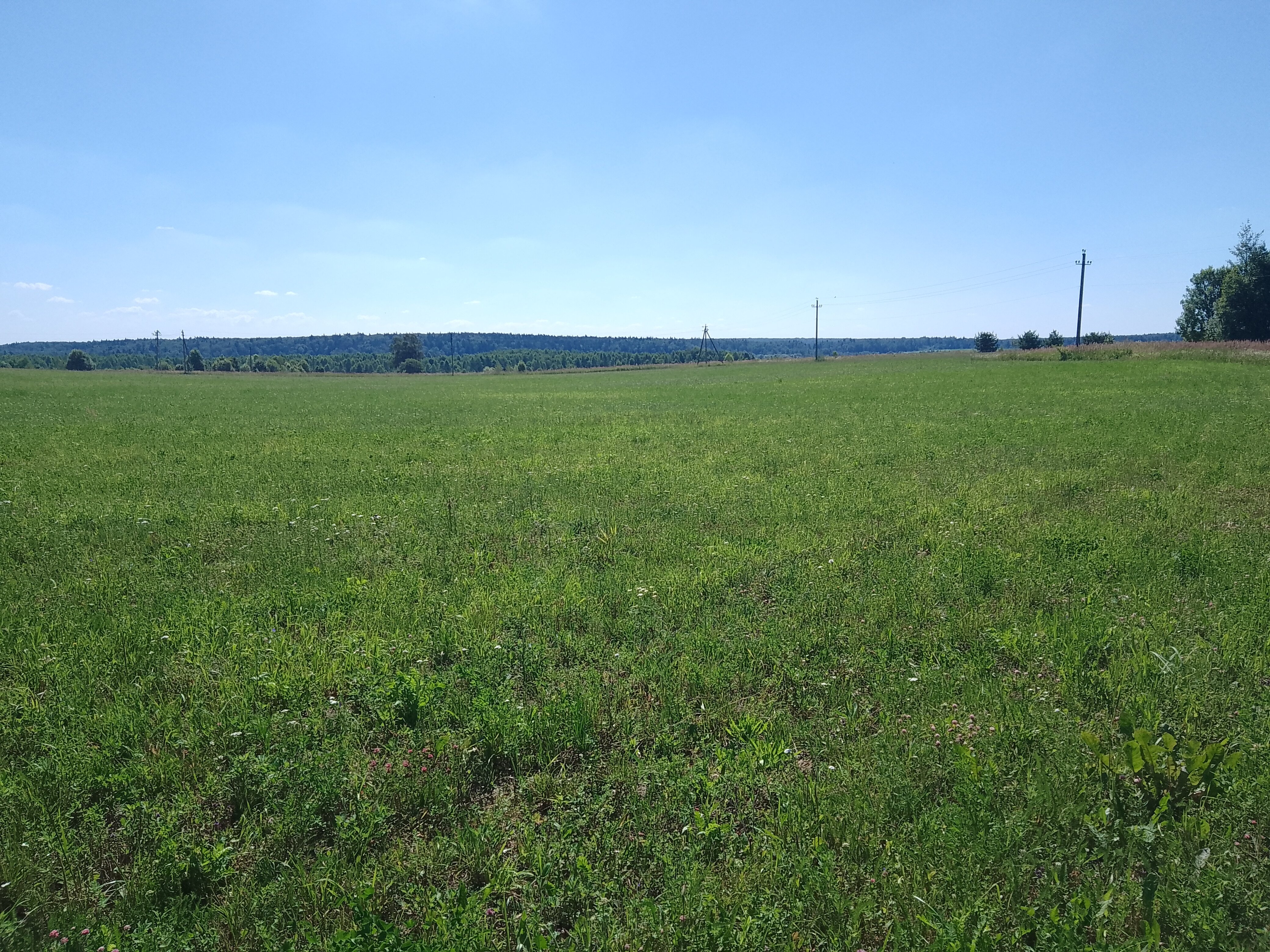 Фото Протва