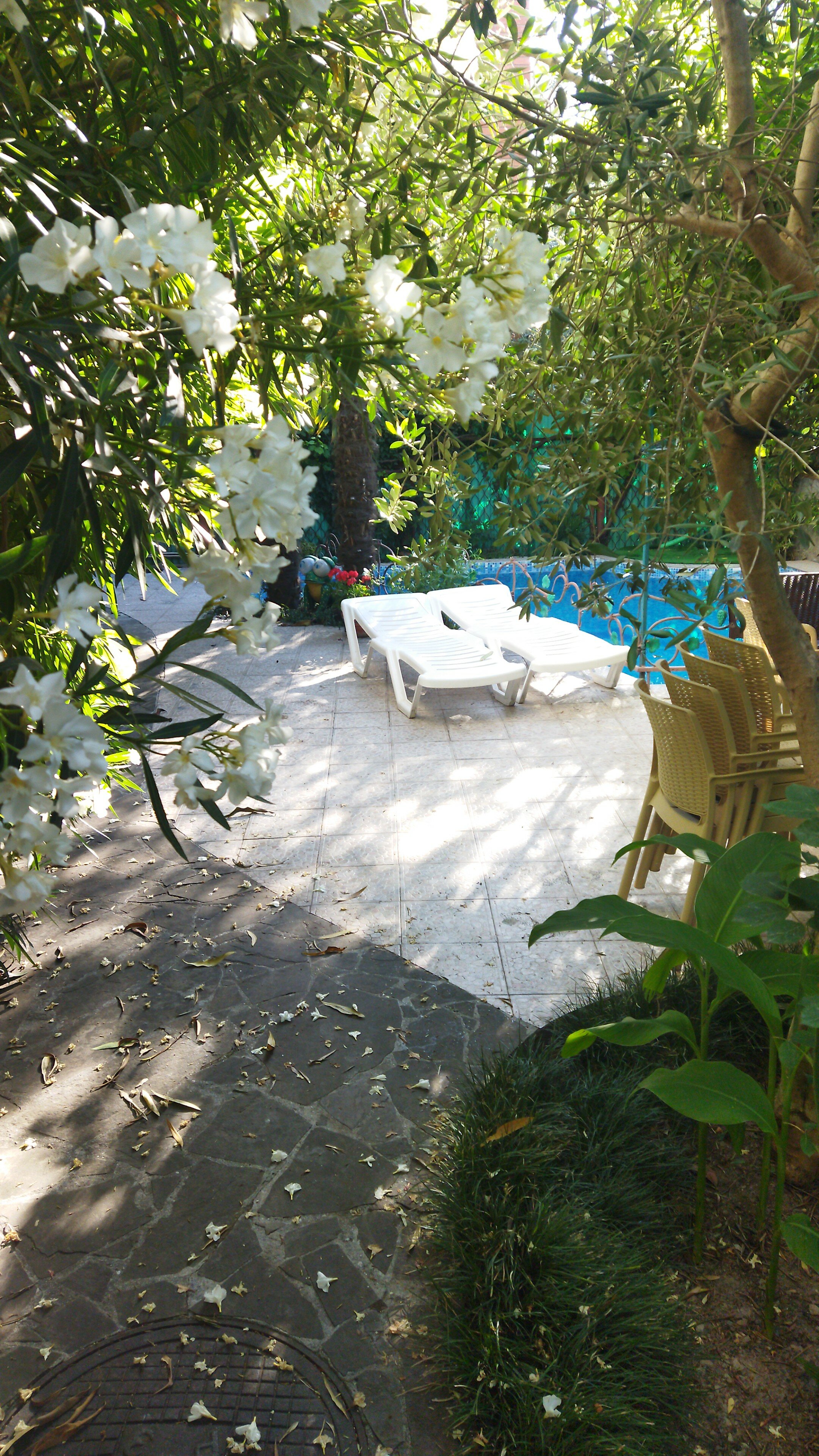 Фото Вилла Лилия