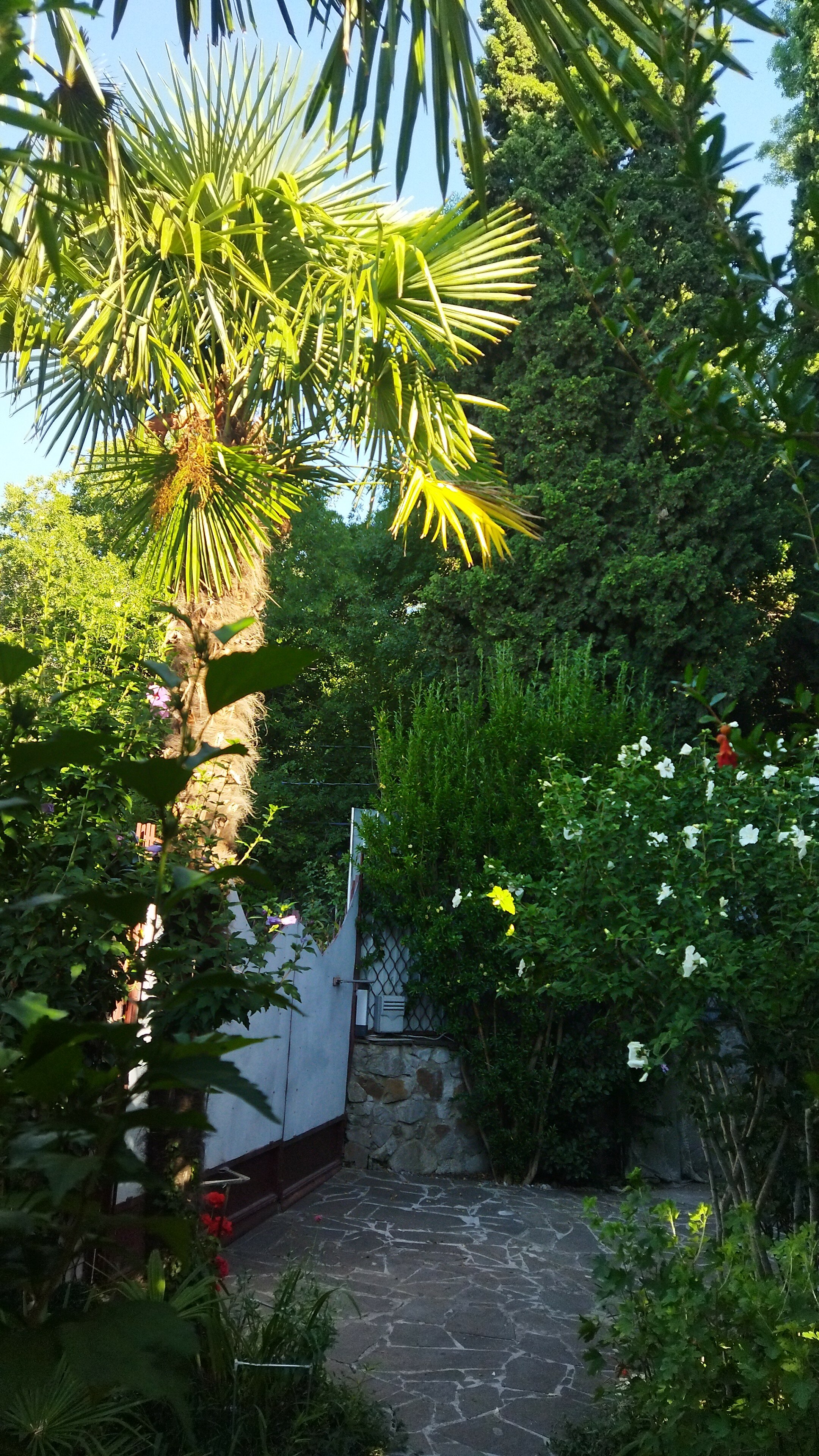 Фото Вилла Лилия