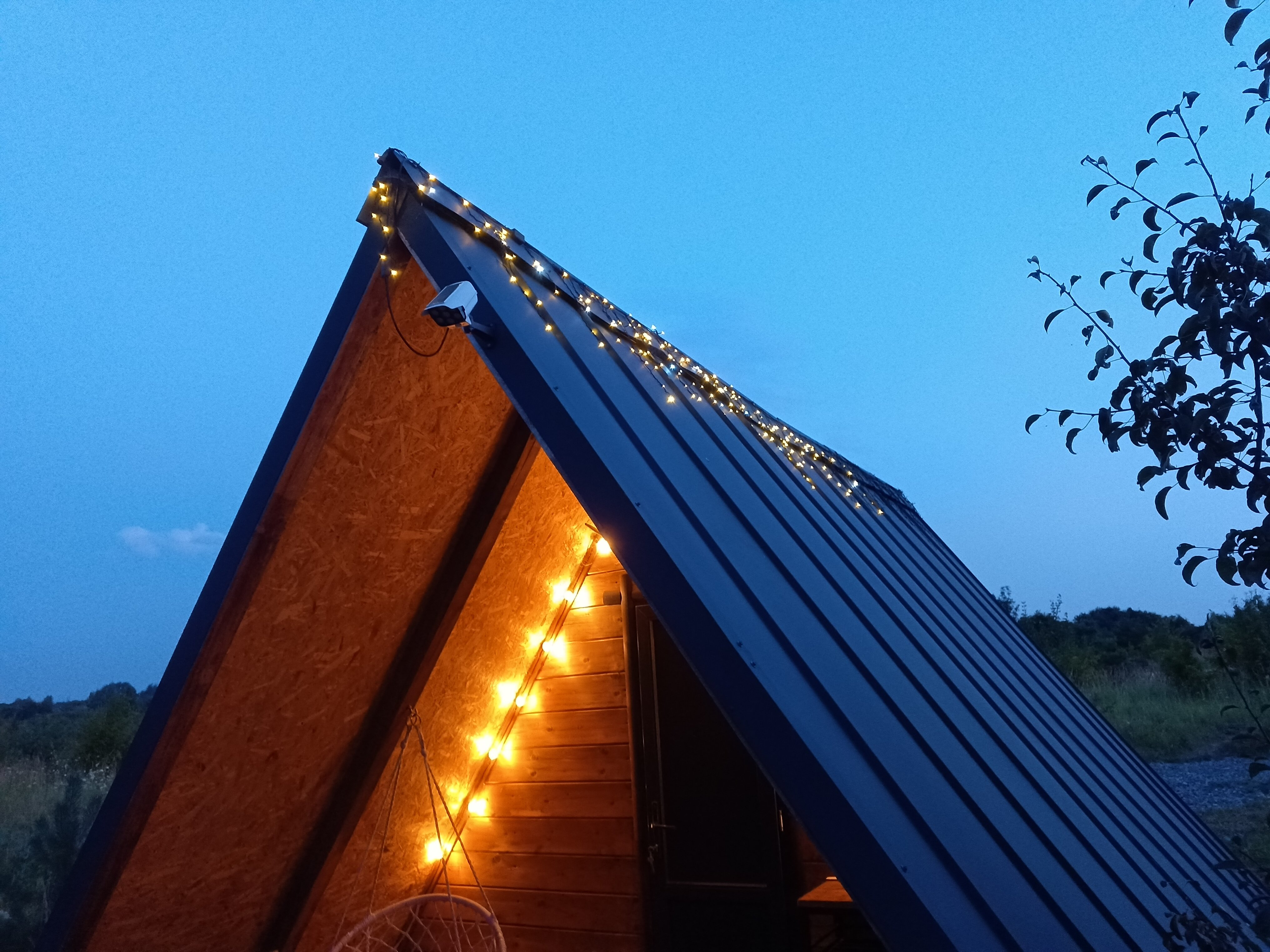 Фото Forest chan