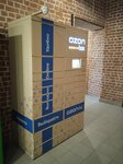 Ozon box (Pochainskaya Street, 17К), parcel automat